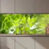 Natuur - Lente - Groen - Bladeren keuken achterwand 2 middel zz_3dshopping