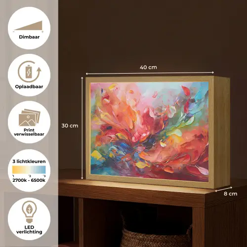 Olieverf - Kunst - Abstract - Kleurrijk Light Box met batterij (Wandlamp) middel -USP_websiteoverzichtNL