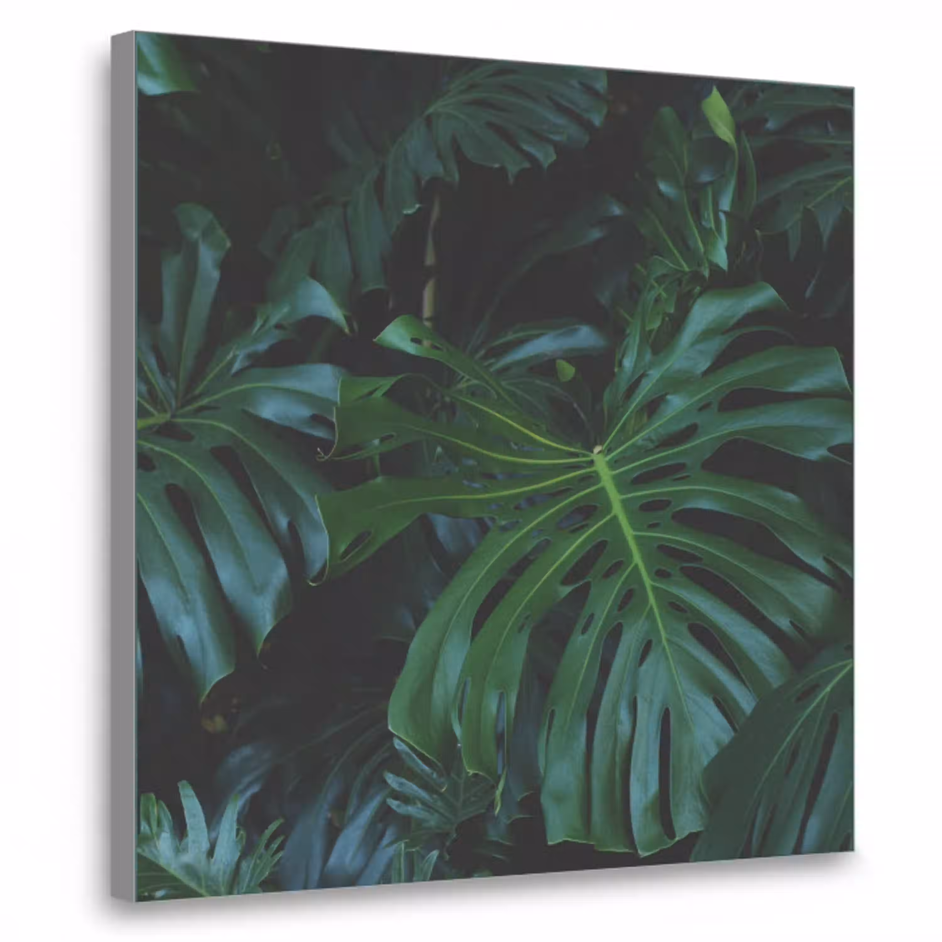 tropical-inductiebeschermer-cm-kd9sh3i5hfkutycg-1-1-textielframe-zilver-klein-3d.jpg