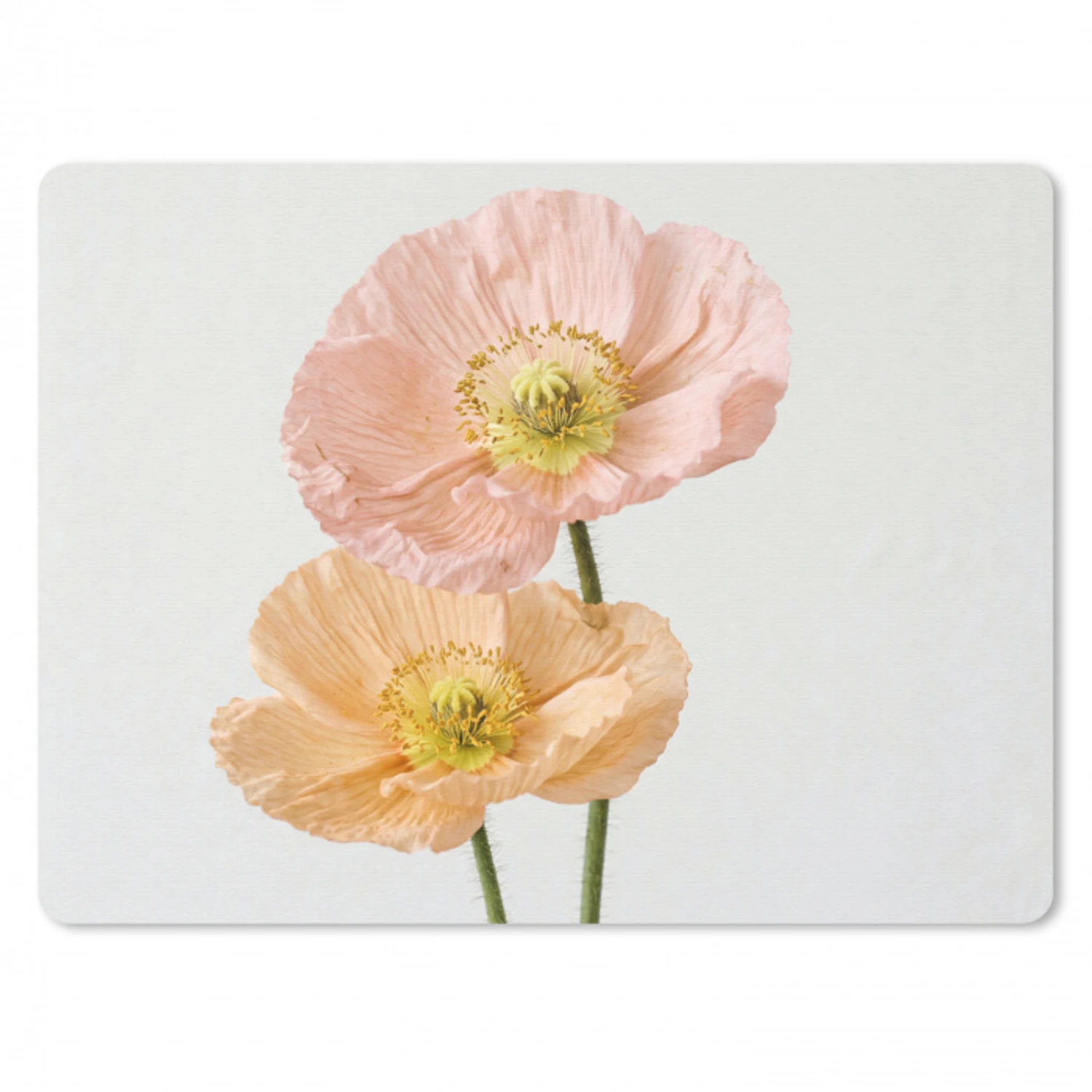 Papavers - Botanisch - Roze muismat rubber klein -3d