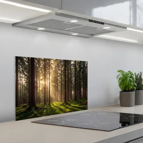Bos - Gras - Zonlicht keuken achterwand spatscherm klein -3d_schuin