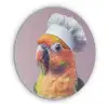 Papegaai - Koksmuts - Nieuwsgierig - Vogel Akoestische PET Vilt - Rond klein -3d