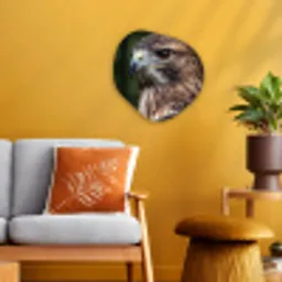 Buizerd - Roofvogel - Natuur - Bruin Wandcirkel Organisch Forex 3mm klein -sfeer4