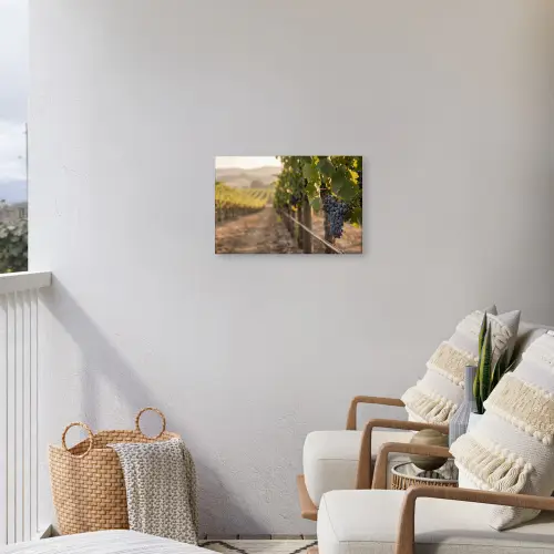 Druiven - Wijngaard - Zonlicht Tuinposter op houten frame 2 cm dik klein -sfeer1