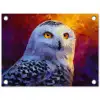 Sneeuwuil - Schilderij - Kleurrijk - Wit tuinposter los doek klein -3d