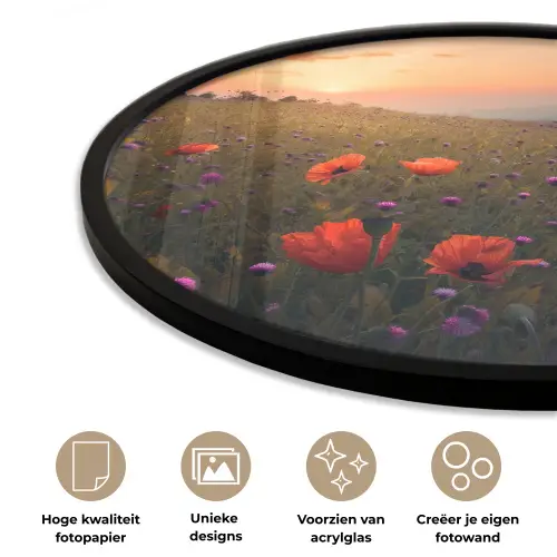 Bloemenveld - Gras - Bloemen - Planten - Zonsondergang - Oranje Fotolijst rond zonder passe partout klein -closeup_NL