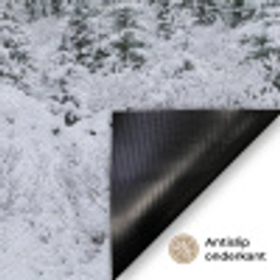 Weg - Bergen - Sneeuw - Naaldbos - Avontuurlijk Deurmat klein -antislip_NL