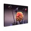 Bloemen - Chrysant - Macro - Planten Tuinposter op houten frame 2 cm dik klein -3d