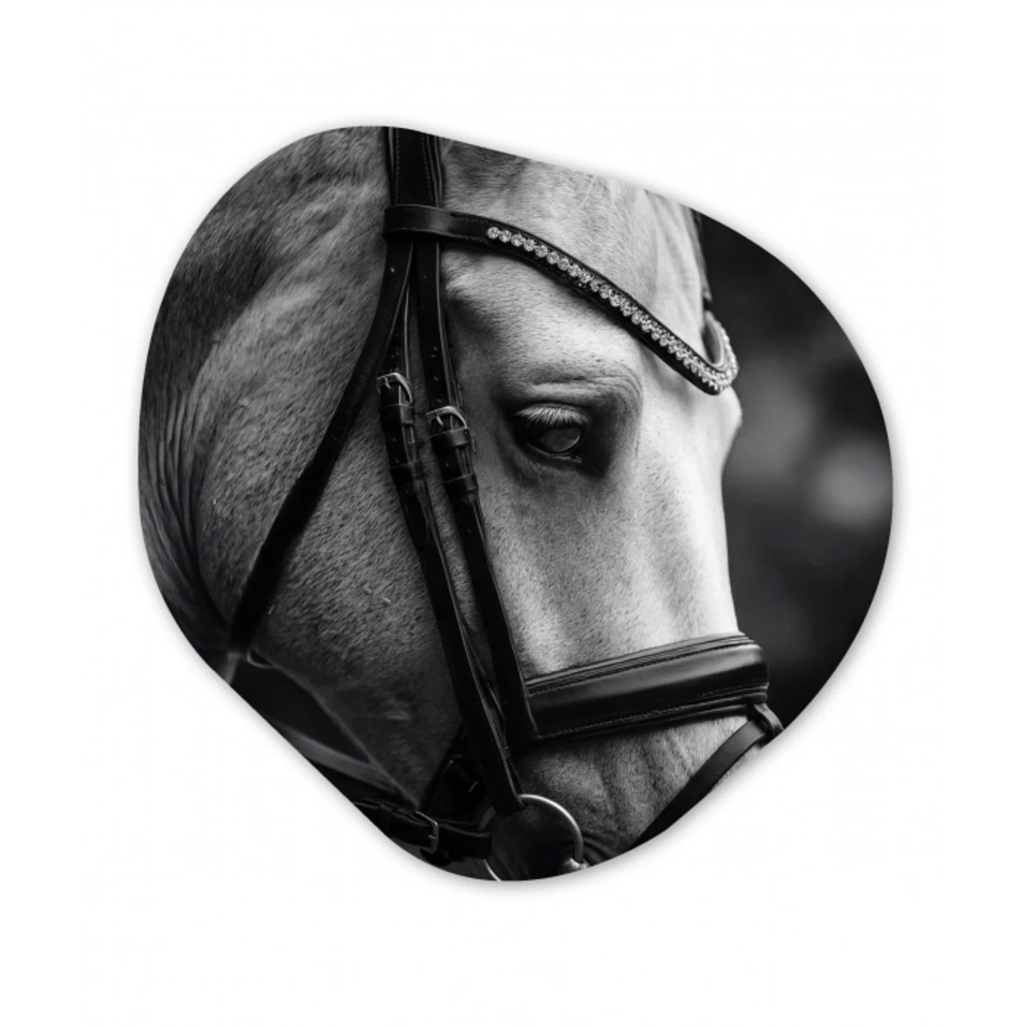 Paard - Schimmel - Portret Wandcirkel Organisch Aluminium middel -3d