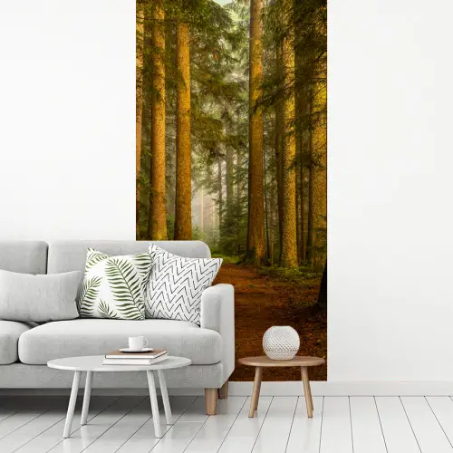 Bos - Natuur - Bomen - Landschap fotobehang vinyl groot -woonkamer