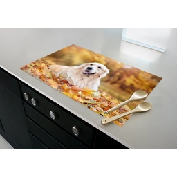 inductiebeschermercollecties-met-pan-en-pollepels-eigenfoto.png