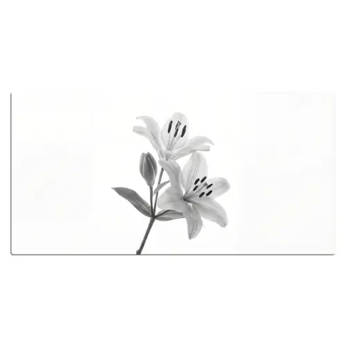 Lelies - Elegant - Zwart - Wit Muismat XXL klein -3d_leeg