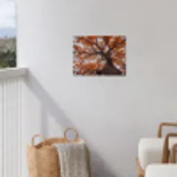 Boom - Bladerdak - Herfst - Oranje - Sfeervol tuinposter los doek klein -sfeer8