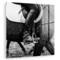 Paard - Sport - Zwart - Wit plexiglas 5mm klein -zzzproduct_nieuw