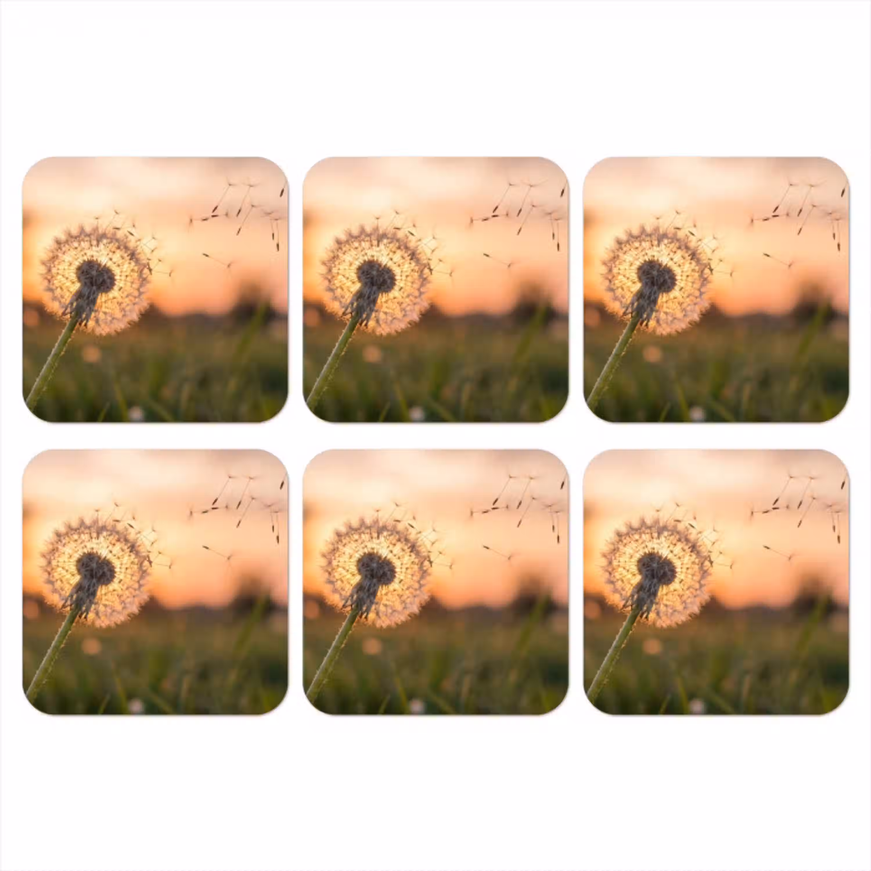 Paardenbloem - Zonsondergang - Veld onderzetter kurk middel -3d