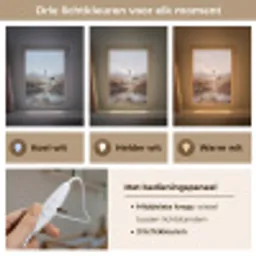 Kraanvogel - Natuur - Realistisch Light Box met kabel (Kinderlampje) klein -USP_lichtkleurNL