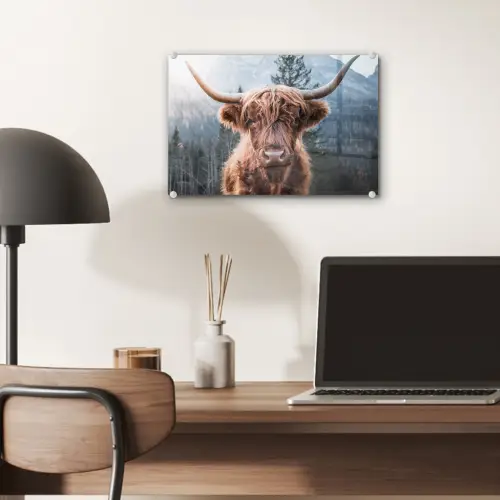 Schotse hooglander - Koe - Dieren - Berg - Natuur plexiglas 5mm klein -sfeer6
