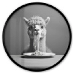 Alpaca - Pasta - Zwart - Wit - Grappig - Dieren Fotolijst rond zonder passe partout klein -3d