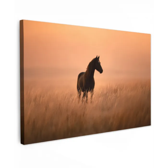 Paard - Grasveld - Zonsondergang canvas 2cm klein -z3d