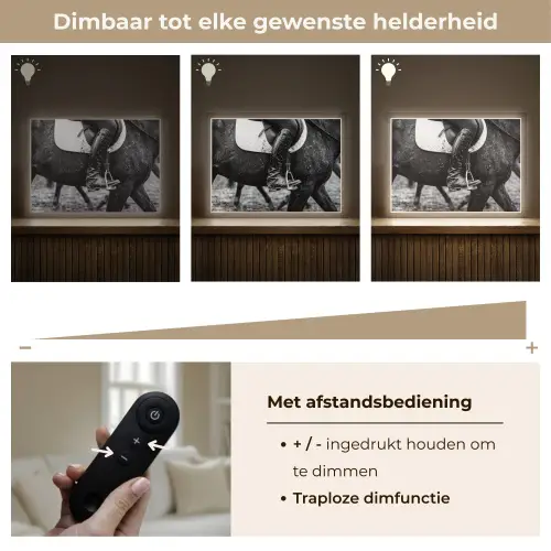 Paard - Sport - Zwart - Wit Light Box met batterij (Wandlamp) middel -USP_dimbaarNL