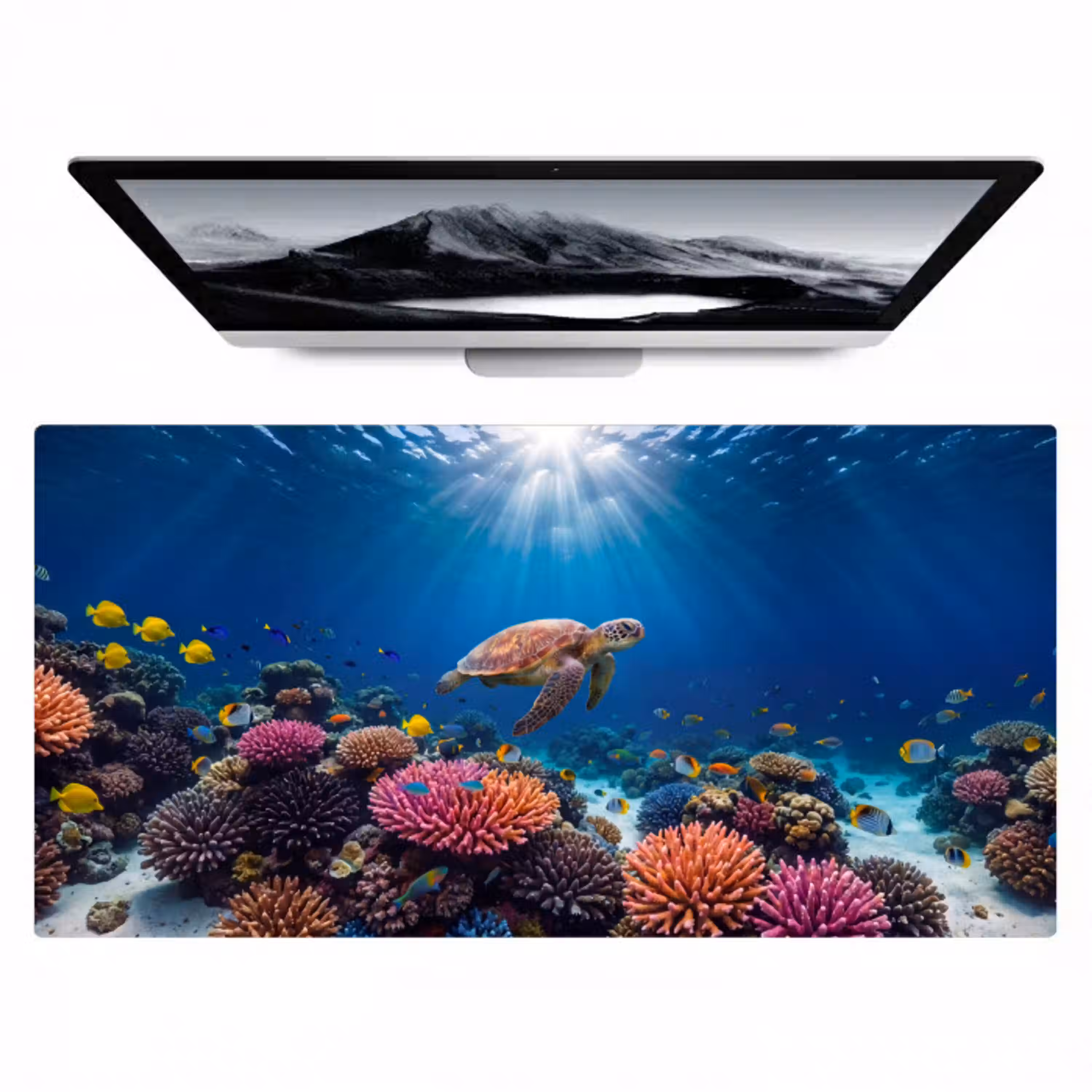 Schildpad - Koraalrif - Oceaan - Dieren - Blauw Muismat XXL klein -zzz3d