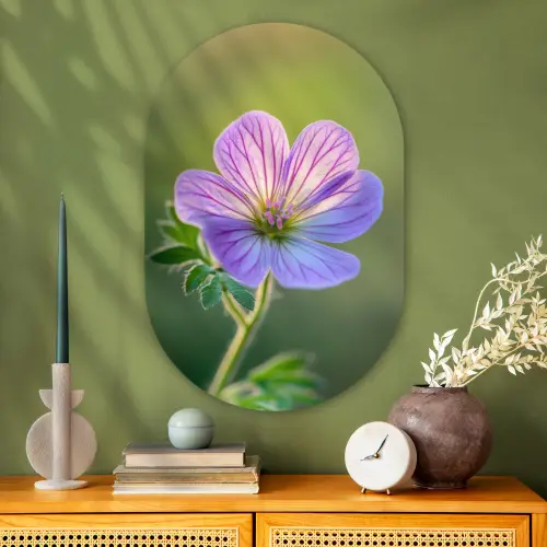Bloem - Close up - Paars Wandcirkel Ovaal Glas middel -sfeer2