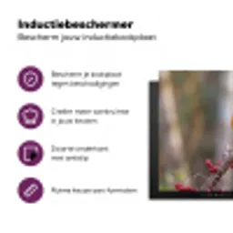Roodborst - Tak - Bessen - Natuur Inductie beschermer vinyl 3mm klein -zzzzzzz-cc-usp