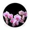 Orchidee - Bloemen - Roze - Flora Wandcirkel aluminium klein -3d