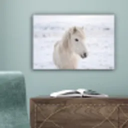 Paard - Kop - Winter - Dieren - Wit canvas 2cm klein -sfeer4