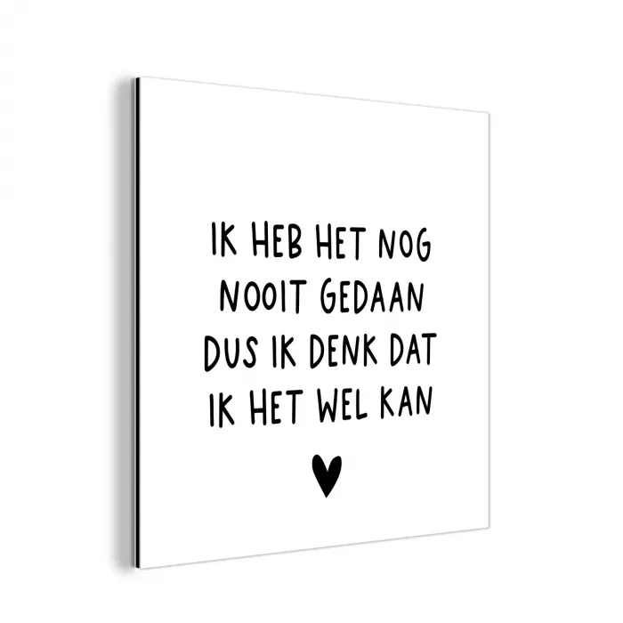 Spreuken - Quotes - Ik heb het nog nooit gedaan dus aluminium wit klein -3d