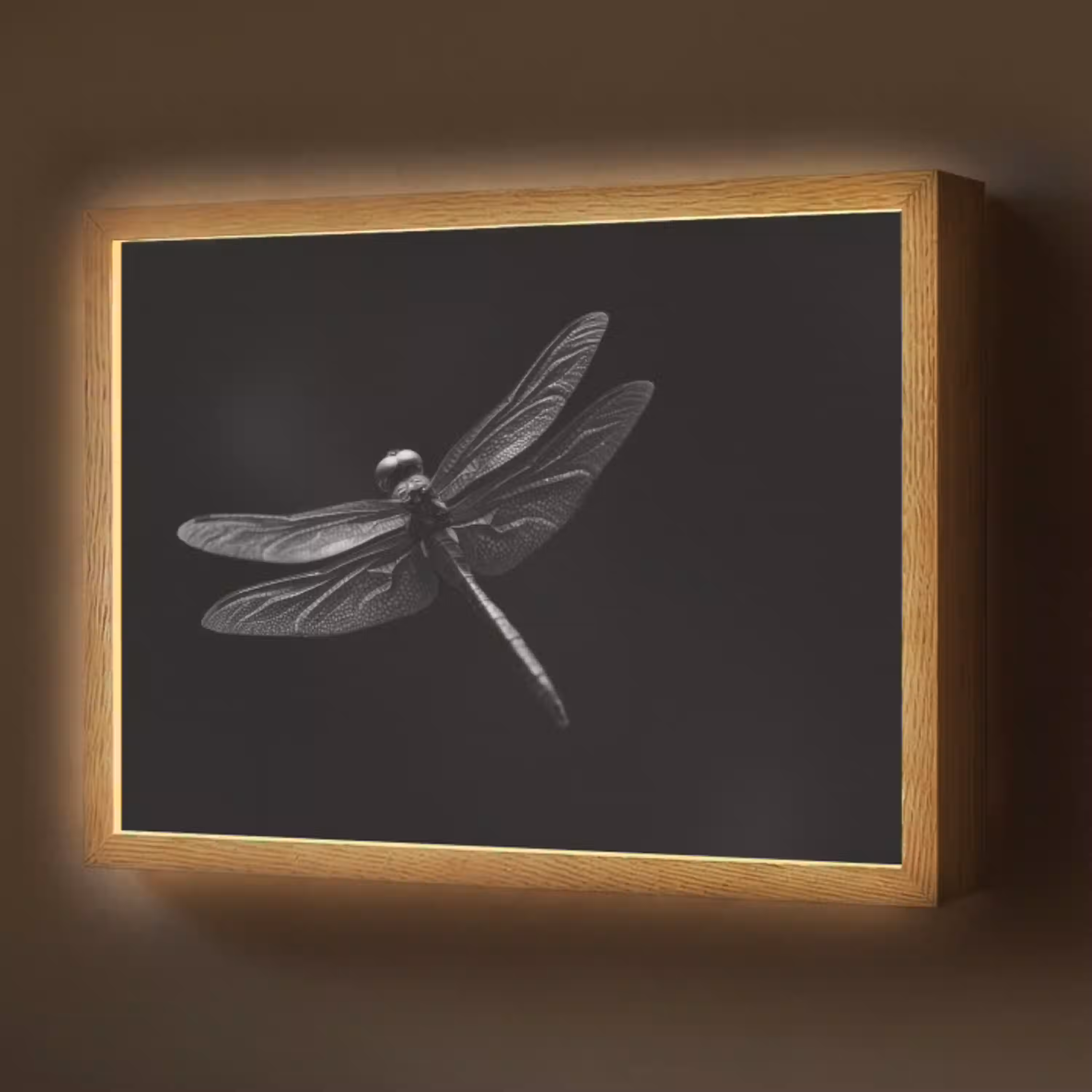 Libelle - Dieren - Zwart - Insect Light Box met batterij (Wandlamp) middel -z3d_website