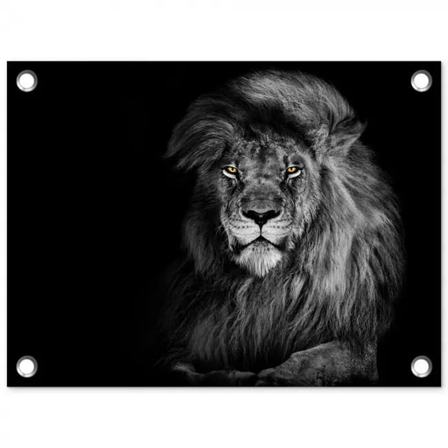 Majestueuze leeuw in de duisternis tuinposter los doek klein -3d