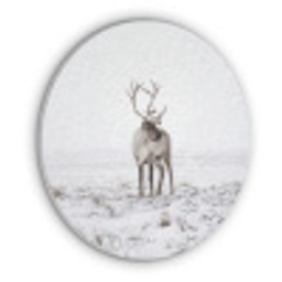 Rendier - Gewei - Sneeuw - Winter Akoestische PET Vilt - Rond klein -3d