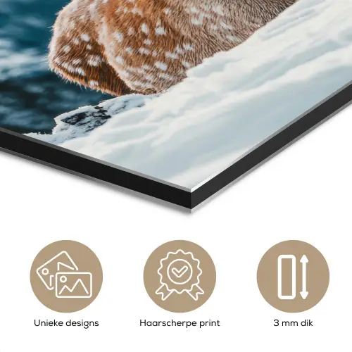 Hert - Landschap - Winter - Natuur - Dieren - Bergen aluminium wit klein -closeup_NL