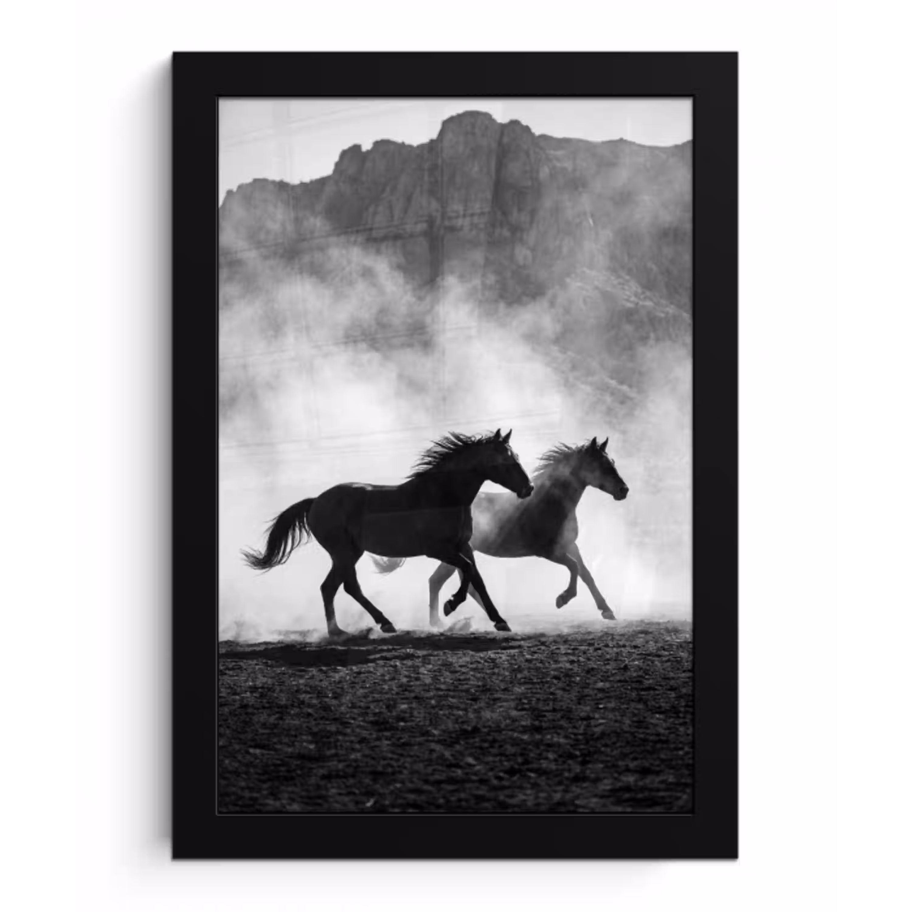 Paard - Ren - Stof - Zwart-wit - Dieren fotolijst zwart zonder passe partout klein -3d
