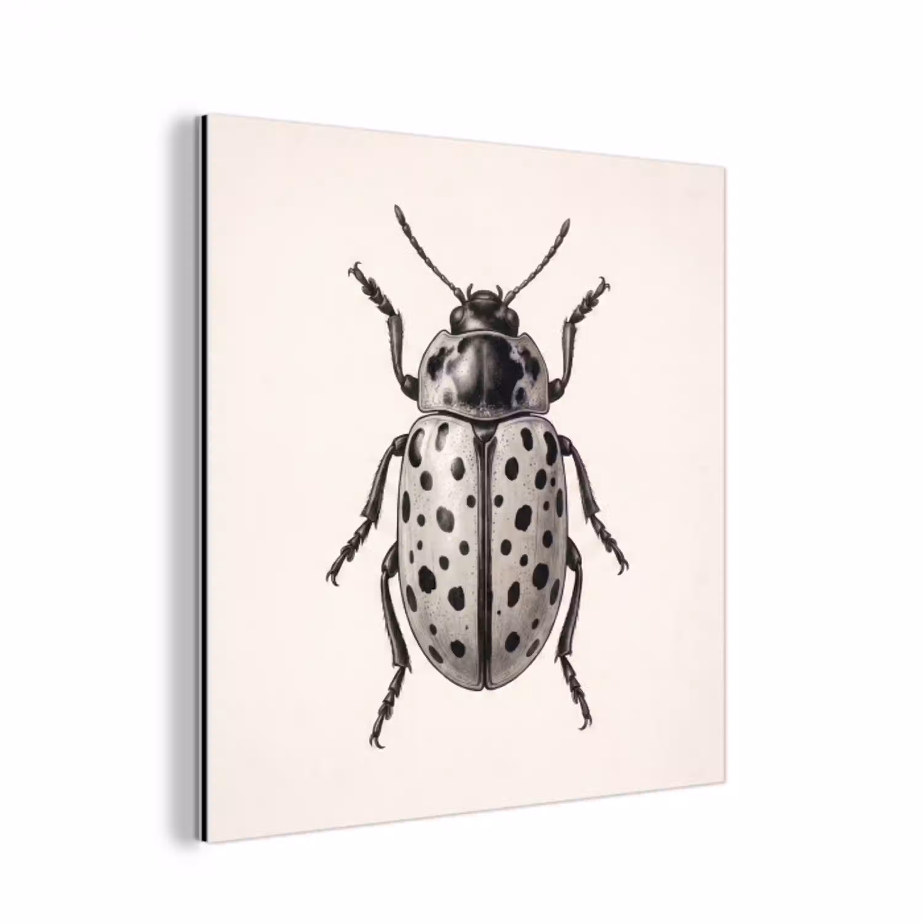 Kever - Insect - Vintage aluminium wit klein -3d