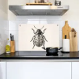 Kever - Insect - Vintage Inductie beschemer met haakjes klein -sfeer2