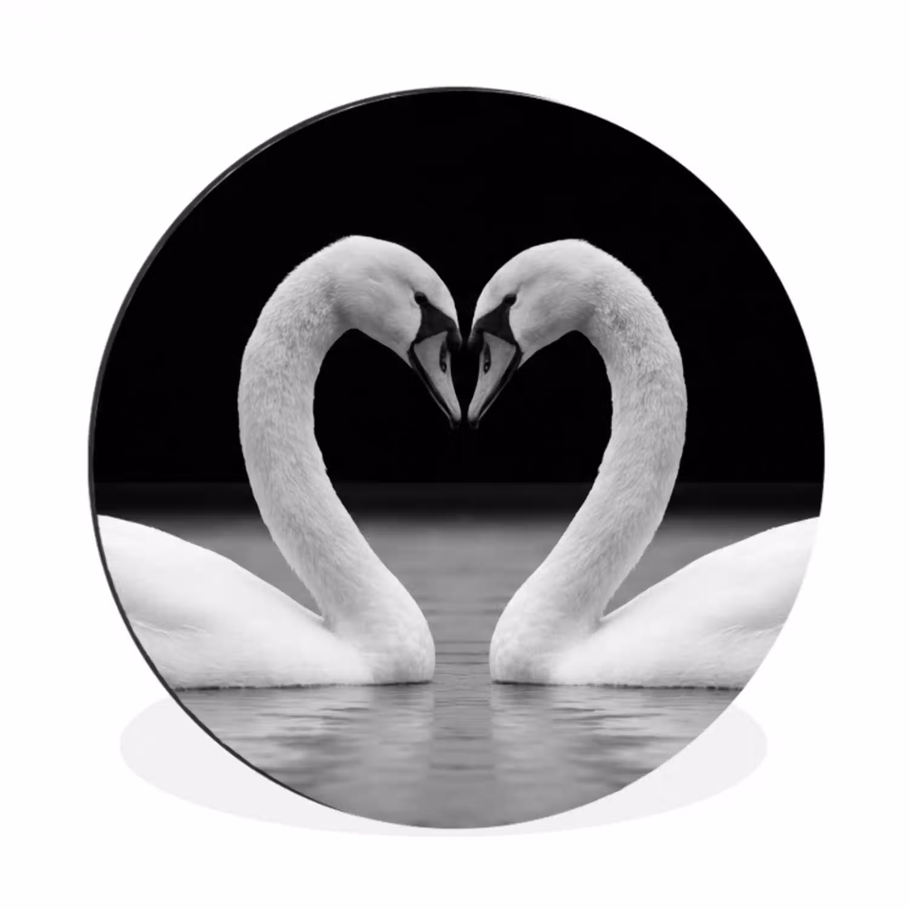 Zwanen - Hart - Zwart - Wit Wandcirkel aluminium klein -3d