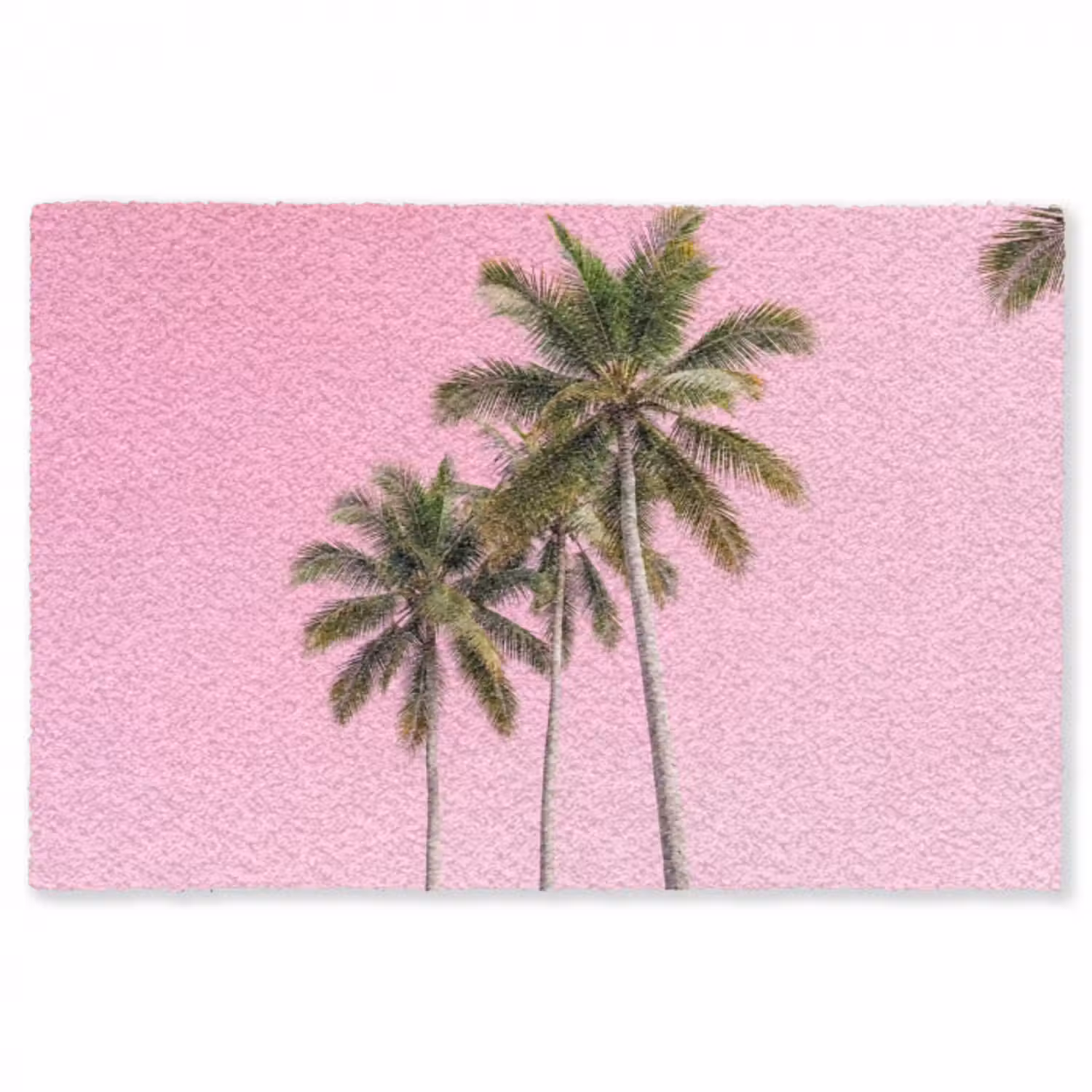 Vloerkleed - Palmboom - Tropisch - Pink