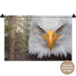 Amerikaans - Zeearend - Portret - Geel Wandkleed katoen klein -t3d_DE