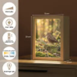 Houtsnip - Bos - Bladeren - Herfst - Gecamoufleerd Light Box met kabel (Kinderlampje) klein -USP_FR