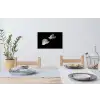 Orchidee - Bloemen - Zwart - Wit - Stilleven Muursticker klein -eettafel