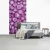 Paars - Uien - Close up fotobehang vinyl groot -slaapkamer