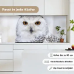 Sneeuwuil - Oog - Wildlife - Wit keuken achterwand 2 middel -sfeer4_DE