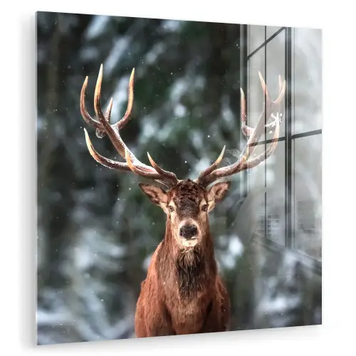 Hert - Winter - Sneeuw - Bos - Natuur - Dier plexiglas 5mm klein -zzzproduct_nieuw