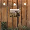 Koala - Bladeren - Ochtendlicht tuinposter los doek klein -sfeer1