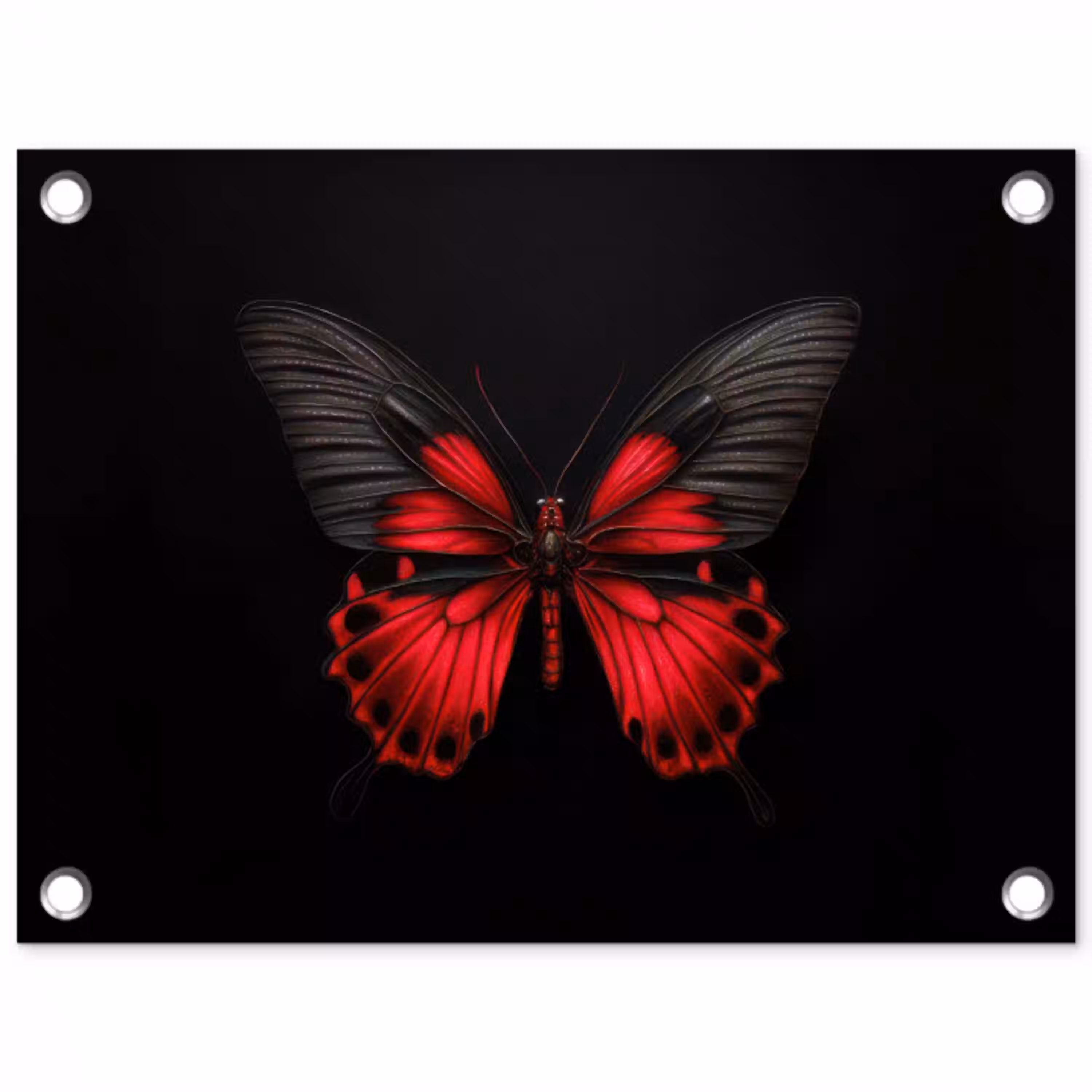 Vlinder - Rood - Contrast tuinposter los doek klein -3d