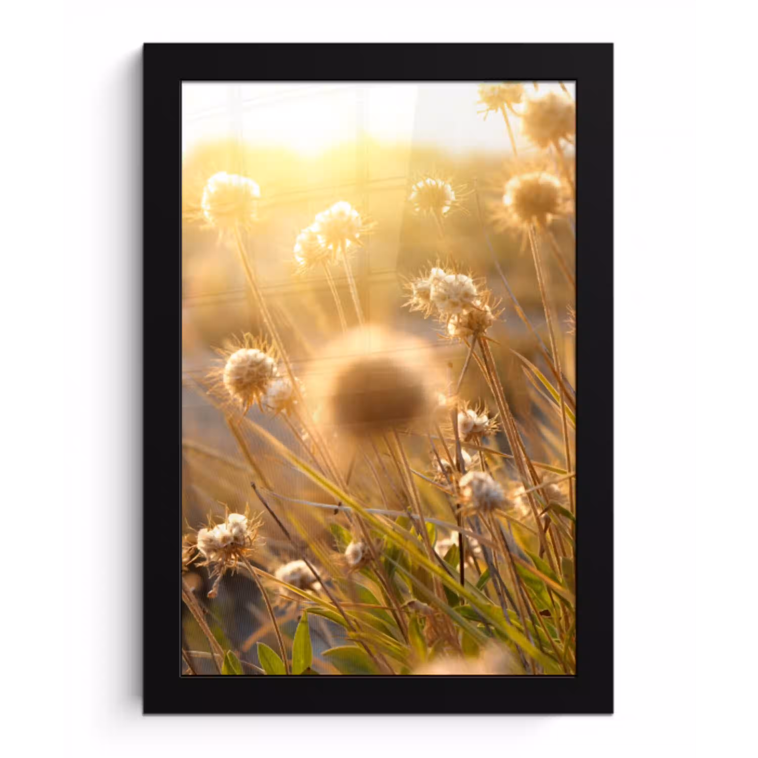Planten - Natuur - Bloemen - Zon - Horizon fotolijst zwart zonder passe partout klein -3d