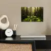 Bomen - Bos - Mos - Planten - Zon - Natuur poster papier klein -sfeer1
