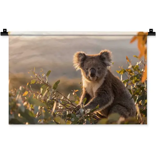 Koala - Bladeren - Ochtendlicht Wandkleed katoen klein -zz3d